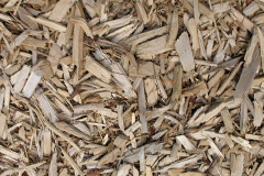 biomass boilers Noseley